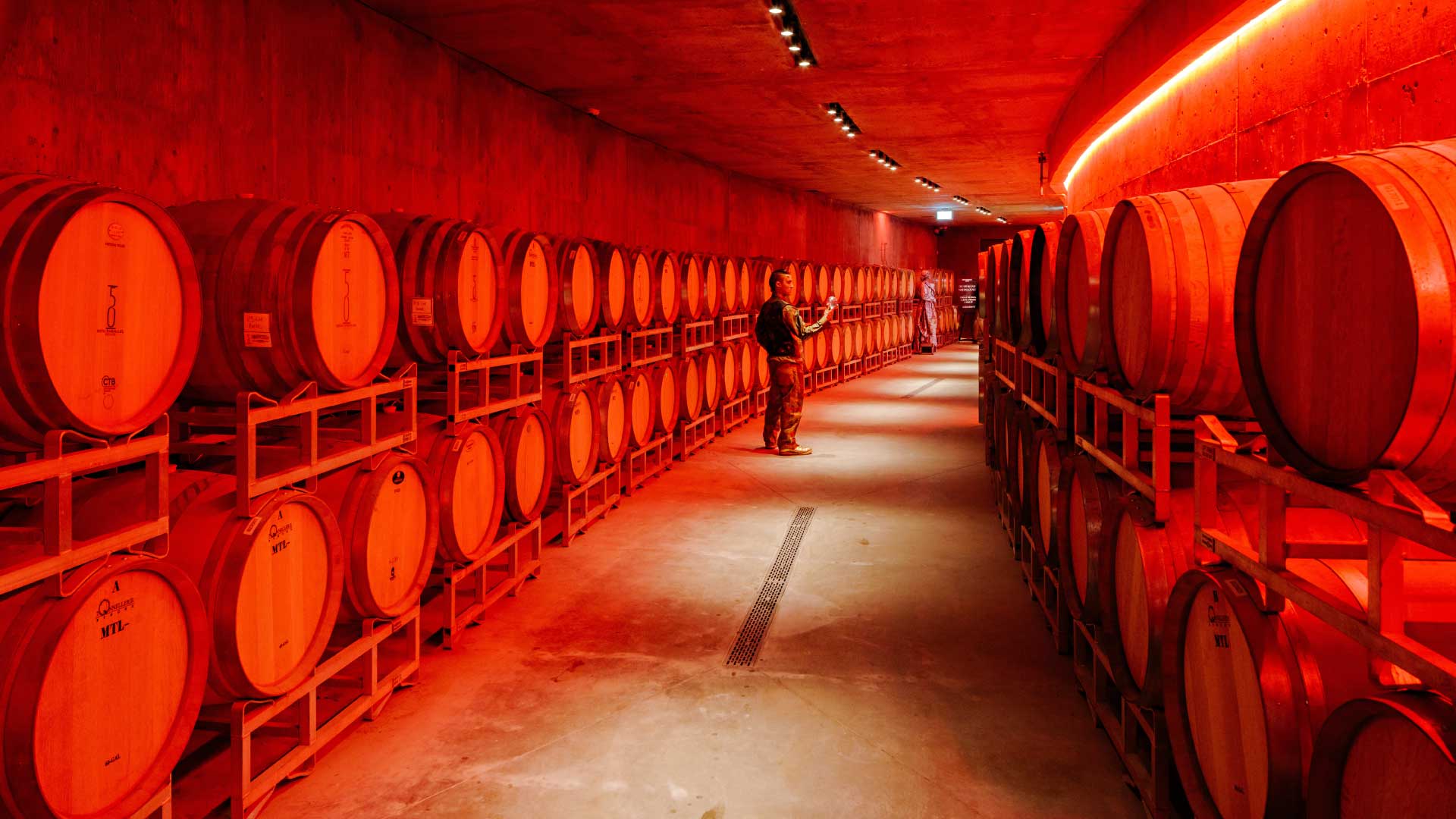 EXPLORE THE WINE CAVES
